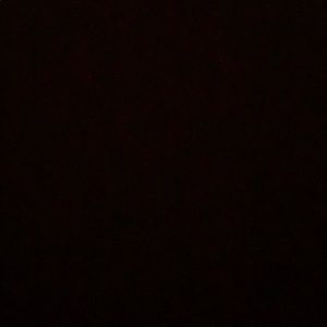 Meet your Posher, Farahdiba